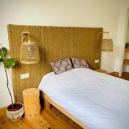 Cowabunga Guesthouse - Peaceful And Spacious, Beach Is Just 200M Away Apartment *